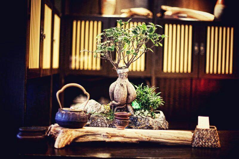 Ningbo Zhengfang Inn Eksteriør bilde